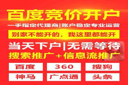 顶级SEM运营公司案例分析
